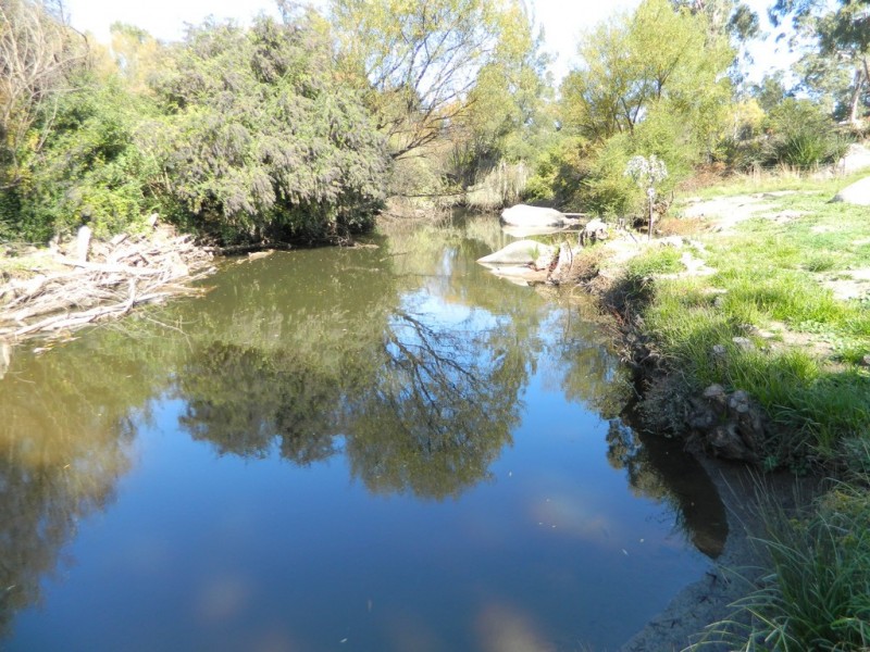 36 Caroline Street, Bendemeer NSW 2355