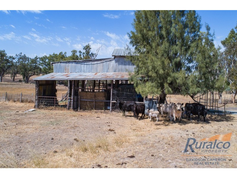 150 Martins Lane, Piallamore, Tamworth NSW 2340