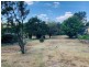 20 Caroline Street, Bendemeer NSW 2355
