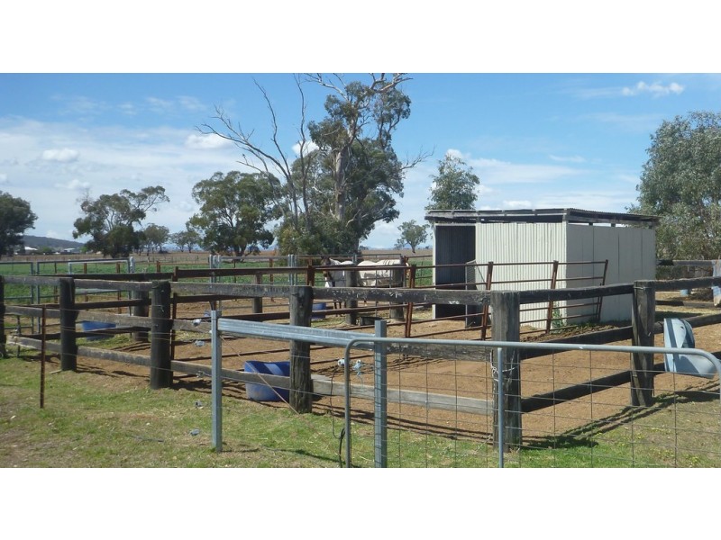 315 Taylors Lane, Quirindi NSW 2343