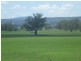 315 Taylors Lane, Quirindi NSW 2343