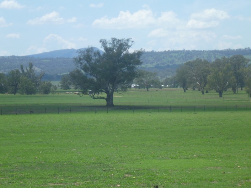 315 Taylors Lane, Quirindi NSW 2343