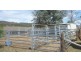 315 Taylors Lane, Quirindi NSW 2343