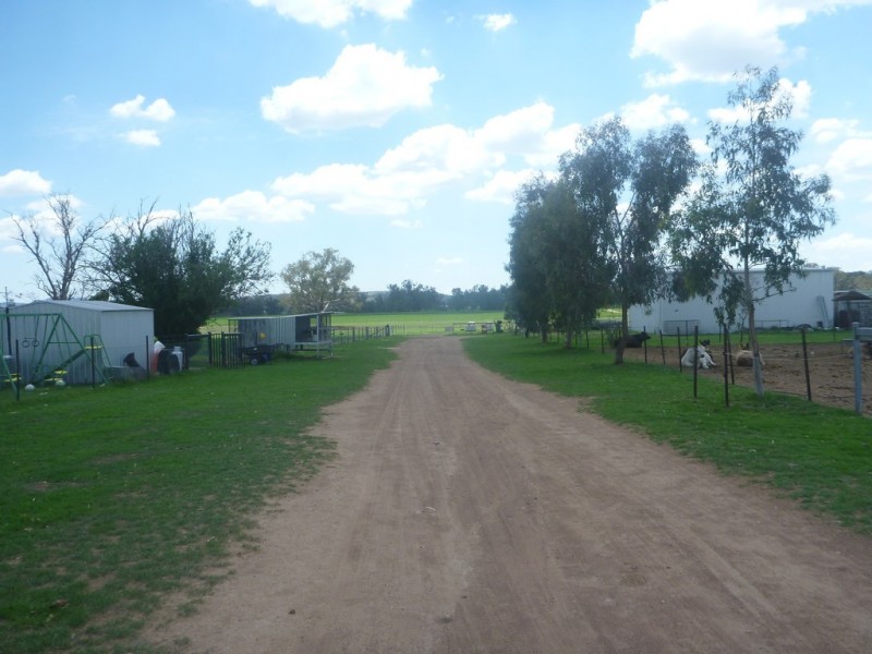 315 Taylors Lane, Quirindi NSW 2343