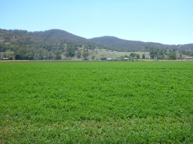 1714 Nundle Road, Dungowan NSW 2340