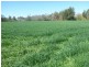 1714 Nundle Road, Dungowan NSW 2340