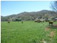 1714 Nundle Road, Dungowan NSW 2340