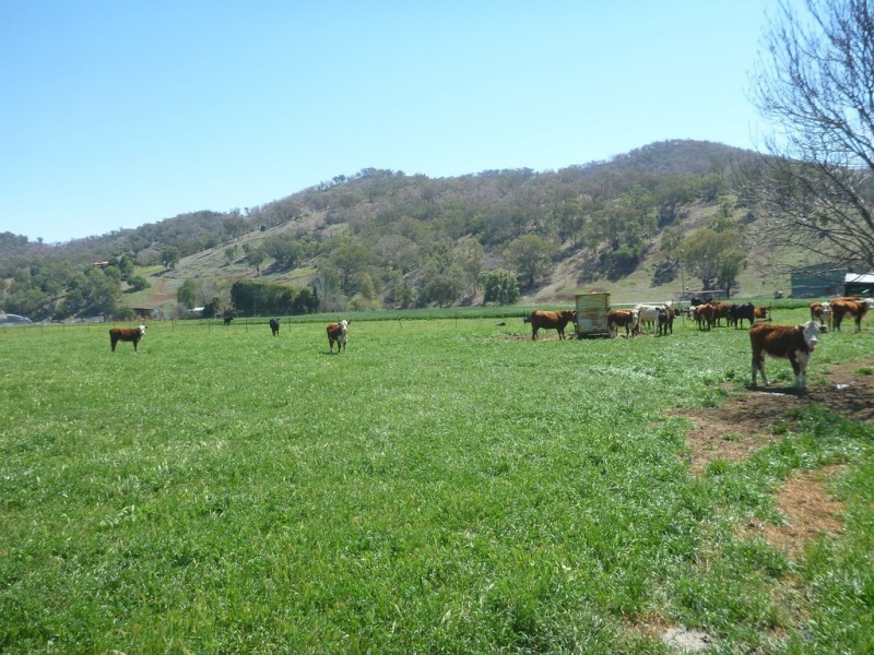 1714 Nundle Road, Dungowan NSW 2340