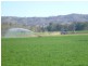 1714 Nundle Road, Dungowan NSW 2340
