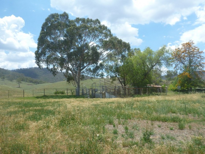 1729 Nundle Road, Dungowan NSW 2340