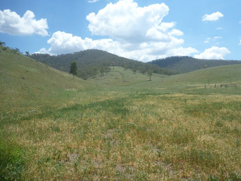 1729 Nundle Road, Dungowan NSW 2340