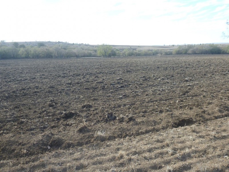 Karamea 443 Irragappa Road, Bellata NSW 2397