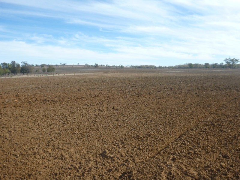 Karamea 443 Irragappa Road, Bellata NSW 2397