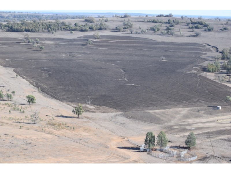 Karamea 443 Irragappa Road, Bellata NSW 2397