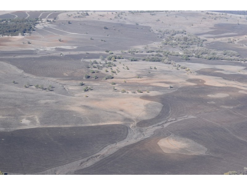 Karamea 443 Irragappa Road, Bellata NSW 2397