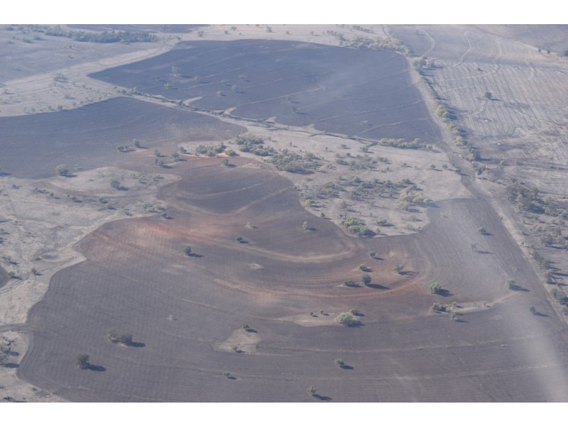 Karamea 443 Irragappa Road, Bellata NSW 2397