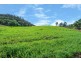 Crystal Brook 137 Danglemah Road, Limbri NSW 2352
