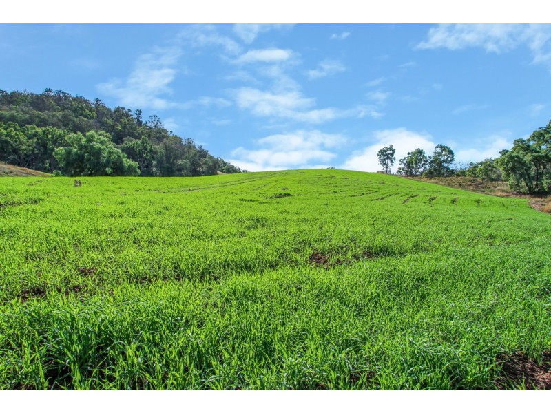 Crystal Brook 137 Danglemah Road, Limbri NSW 2352