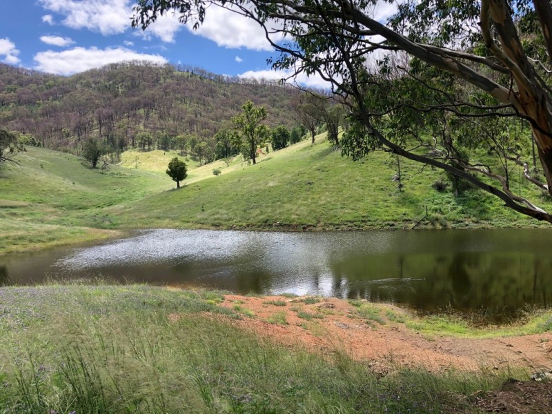 Crystal Brook 137 Danglemah Road, Limbri NSW 2352