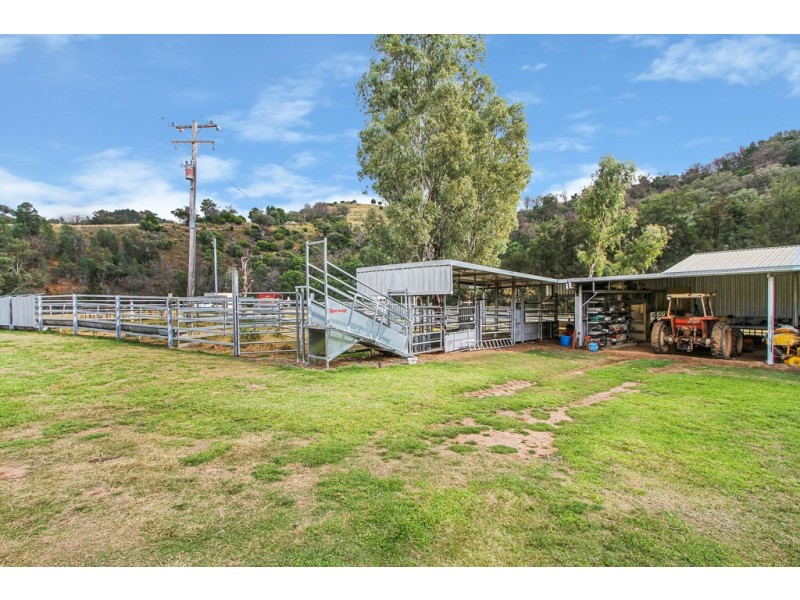 Crystal Brook 137 Danglemah Road, Limbri NSW 2352
