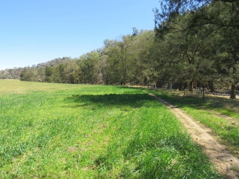 Crystal Brook 137 Danglemah Road, Limbri NSW 2352