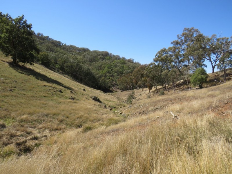 Crystal Brook 137 Danglemah Road, Limbri NSW 2352