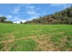 Crystal Brook 137 Danglemah Road, Limbri NSW 2352
