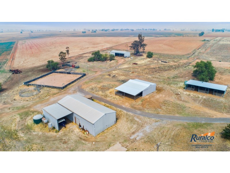 Hazeldene 319 Bayliss Lane, Tamworth NSW 2340