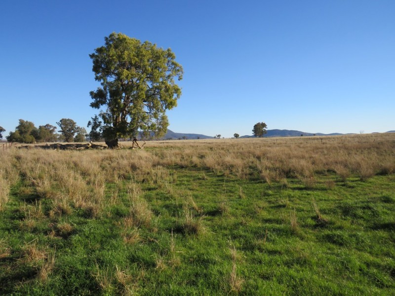 Hazeldene 319 Bayliss Lane, Tamworth NSW 2340