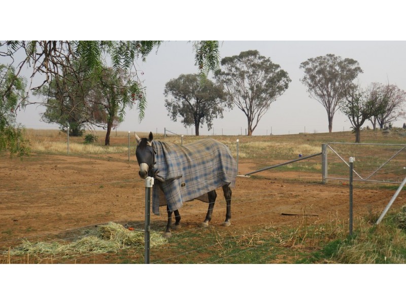 Hazeldene 319 Bayliss Lane, Tamworth NSW 2340