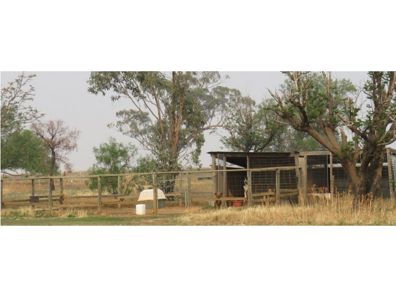 Hazeldene 319 Bayliss Lane, Tamworth NSW 2340