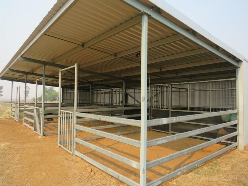 Hazeldene 319 Bayliss Lane, Tamworth NSW 2340