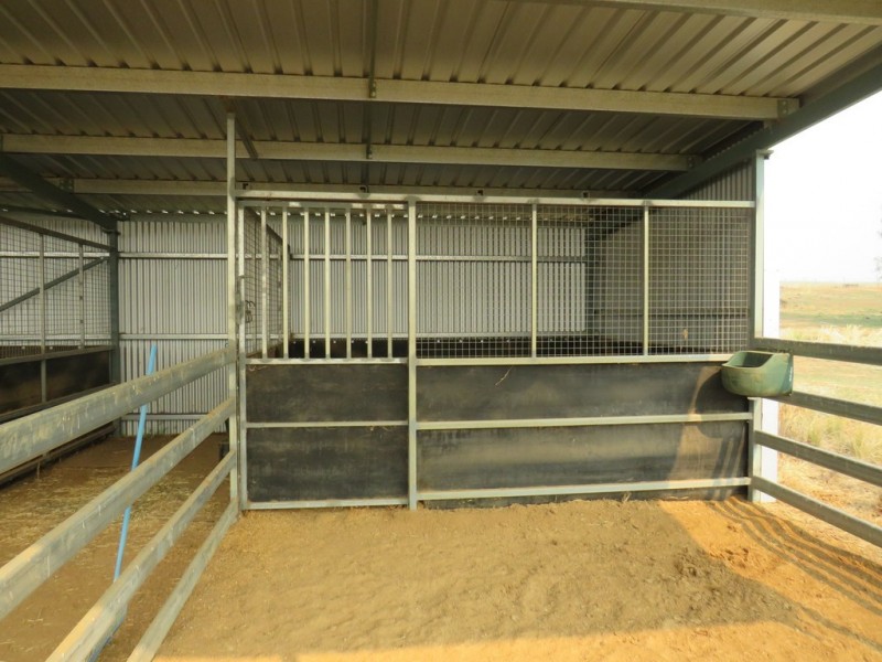 Hazeldene 319 Bayliss Lane, Tamworth NSW 2340