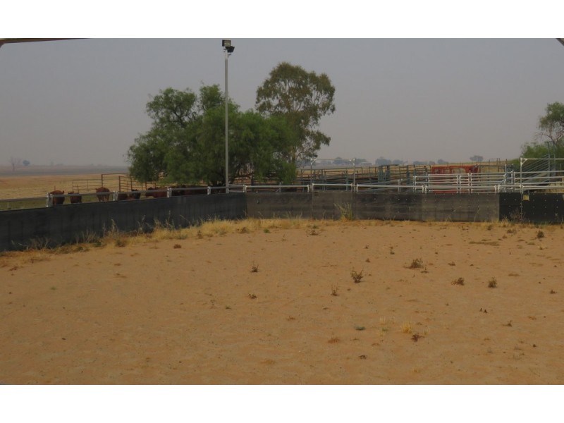 Hazeldene 319 Bayliss Lane, Tamworth NSW 2340