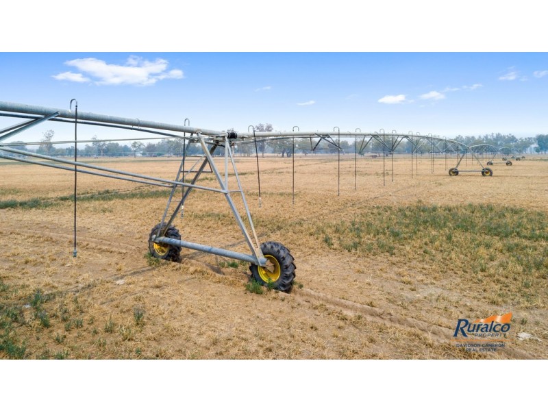 Rosebud 926 Appleby Lane, Tamworth NSW 2340