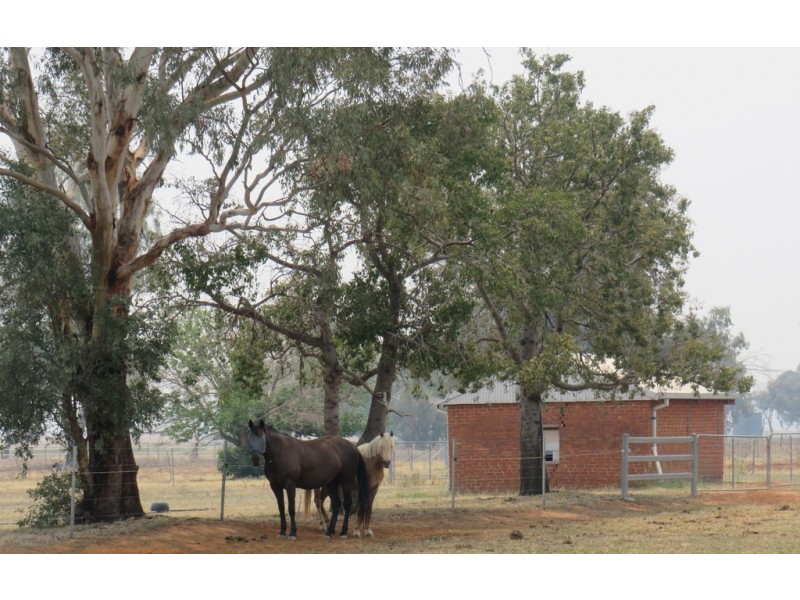 Rosebud 926 Appleby Lane, Tamworth NSW 2340