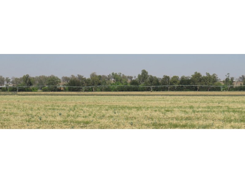 Rosebud 926 Appleby Lane, Tamworth NSW 2340