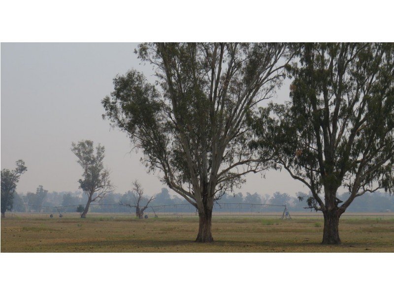 Rosebud 926 Appleby Lane, Tamworth NSW 2340