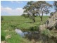 Glen Idle 1004 Wollun Road, Walcha NSW 2354
