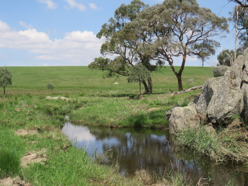 Glen Idle 1004 Wollun Road, Walcha NSW 2354