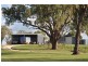 Glen Idle 1004 Wollun Road, Walcha NSW 2354