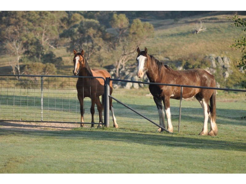 Glen Idle 1004 Wollun Road, Walcha NSW 2354