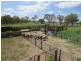 Glen Idle 1004 Wollun Road, Walcha NSW 2354