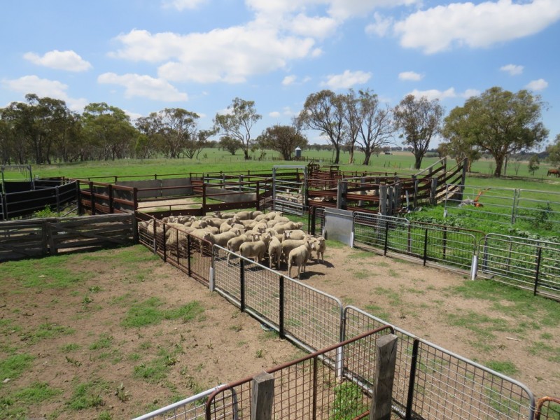 Glen Idle 1004 Wollun Road, Walcha NSW 2354