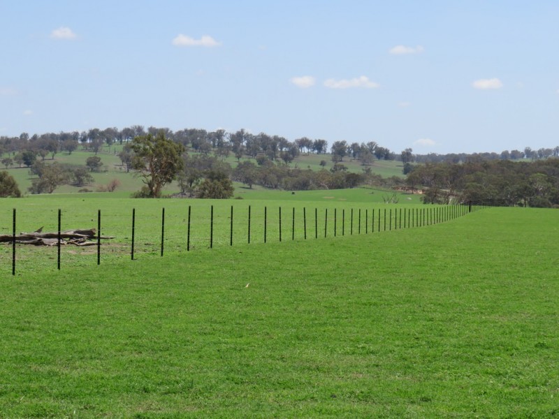 Glen Idle 1004 Wollun Road, Walcha NSW 2354