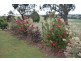 Glen Idle 1004 Wollun Road, Walcha NSW 2354