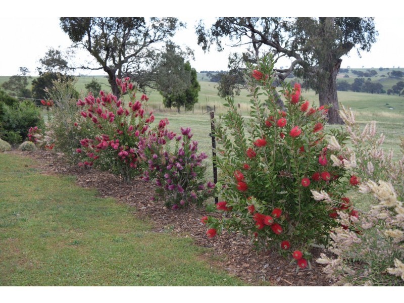 Glen Idle 1004 Wollun Road, Walcha NSW 2354