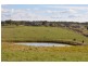 Glen Idle 1004 Wollun Road, Walcha NSW 2354