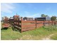 Glen Idle 1004 Wollun Road, Walcha NSW 2354