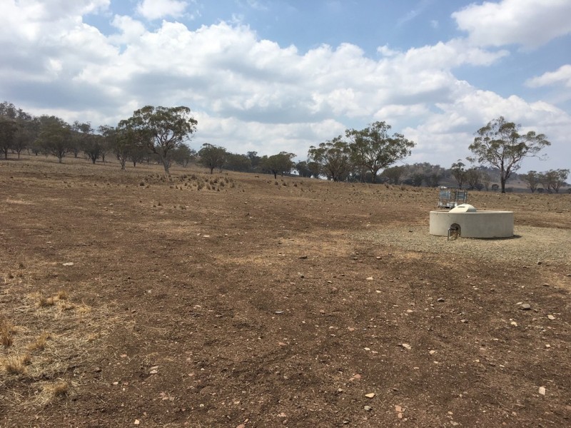 1728 Werris Creek Road, Werris Creek NSW 2341